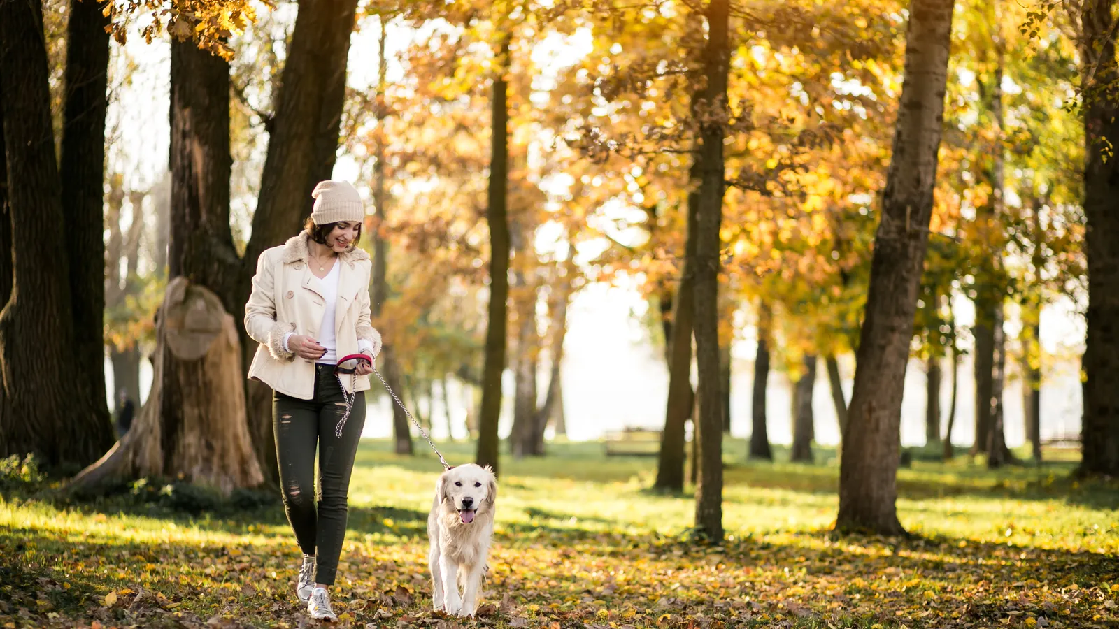 The Afternoon Walk: An Underrated Energy Strategy